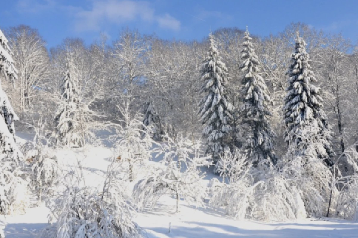 Balade en raquettes à neige découverte du Ballon Alsace - Bonjour Fun