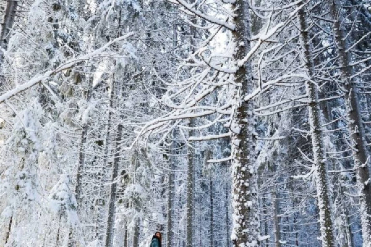 Balade en raquettes à neige découverte du Breitfirst - Bonjour Fun