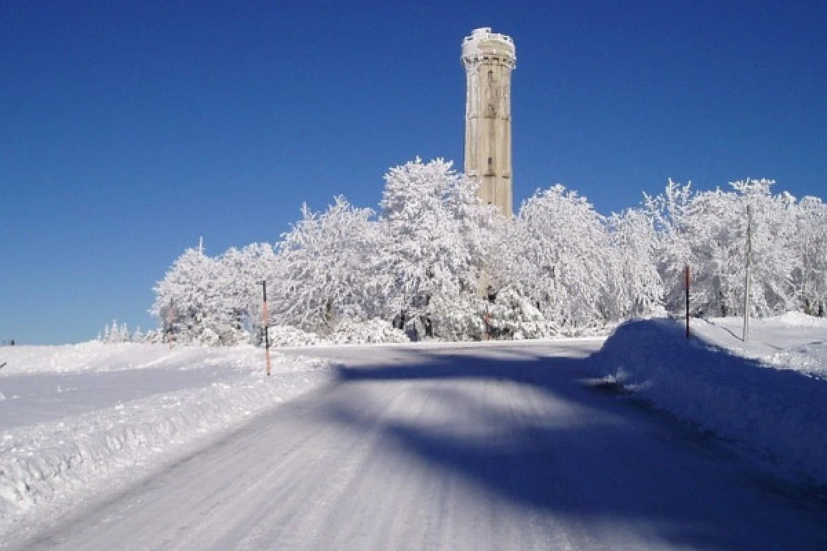 Balade en raquettes à neige découverte du Champ du Feu - Bonjour Fun