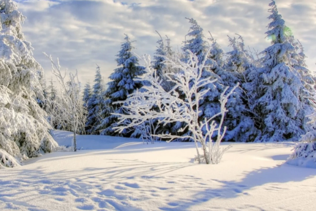 Balade en raquettes à neige découverte du Gaschney - Bonjour Fun