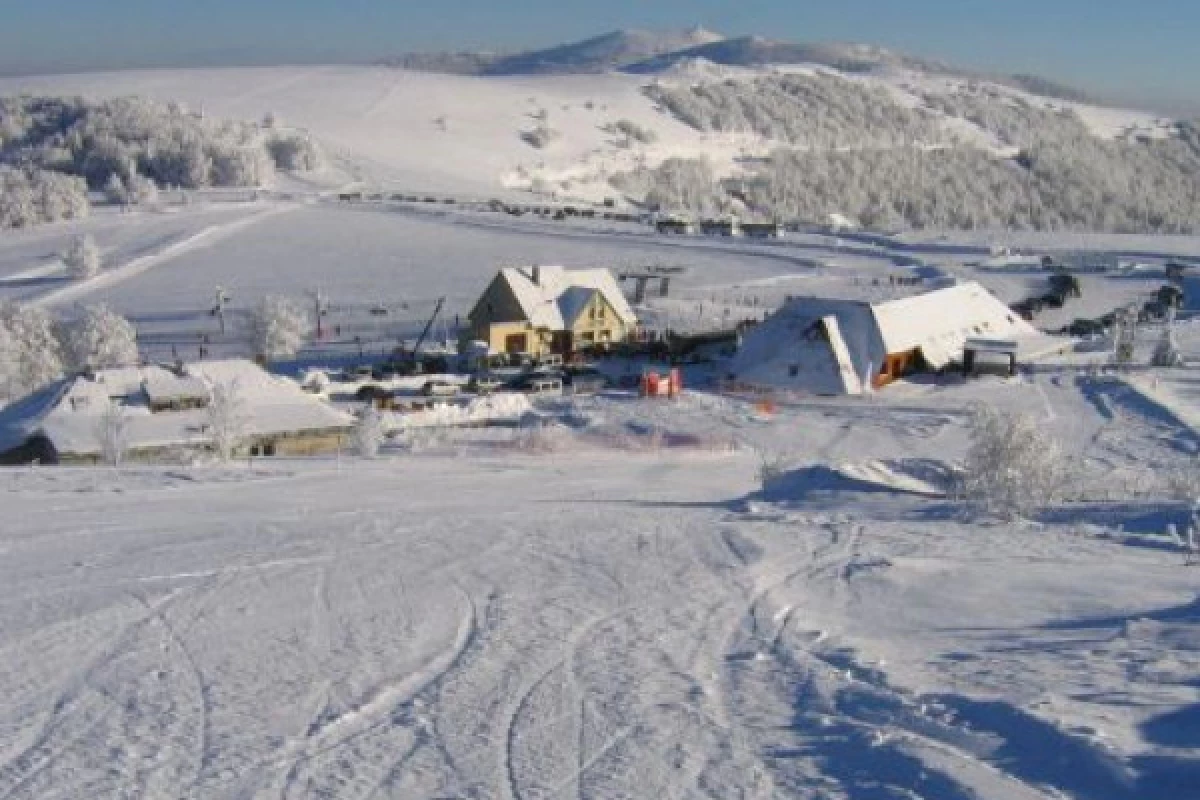 Balade en raquettes à neige découverte du Markstein - Bonjour Fun