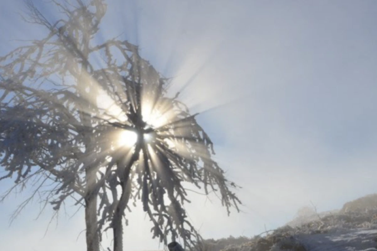 Balade en raquettes à neige découverte du Rossberg - Bonjour Fun