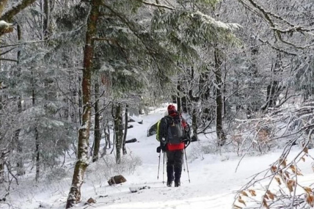 Balade en raquettes à neige découverte du Rouge Gazon - Bonjour Fun