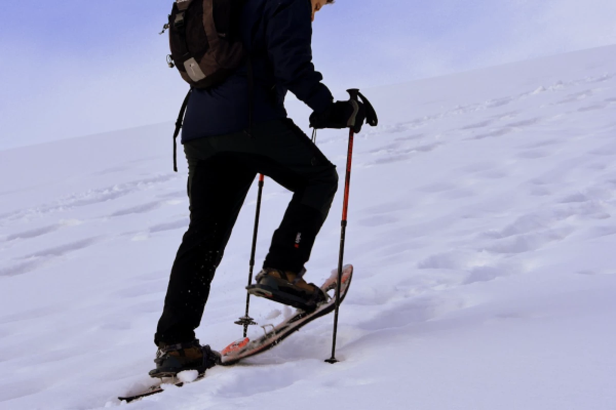 Balade en raquettes à neige - Bonjour Fun