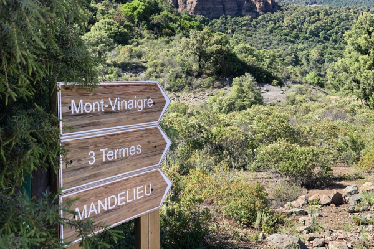 Balade en VTT électrique dans le massif de l'Esterel - Bonjour Fun