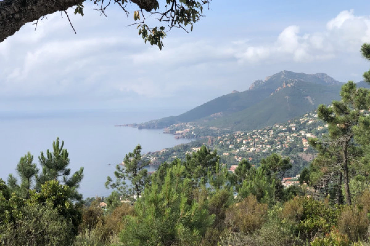 Balade en VTT électrique dans le massif de l'Esterel - Bonjour Fun