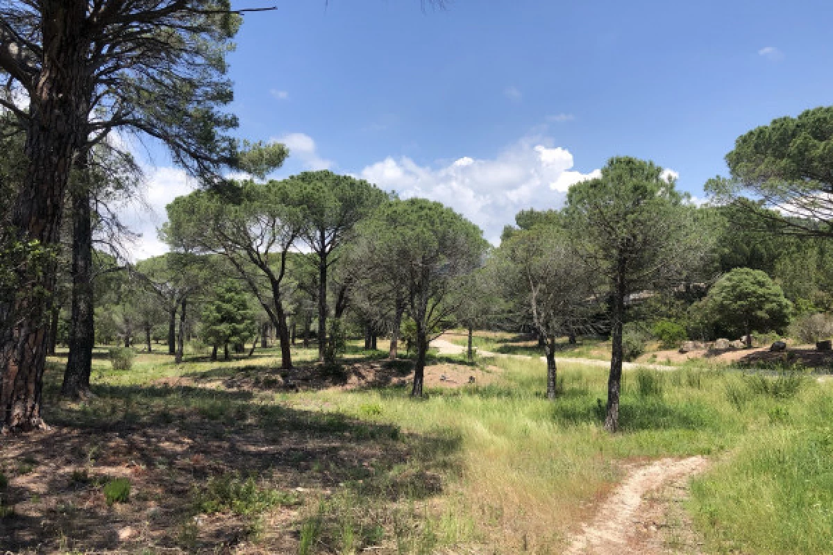 Balade en VTT électrique plateau du Rouet - Bonjour Fun