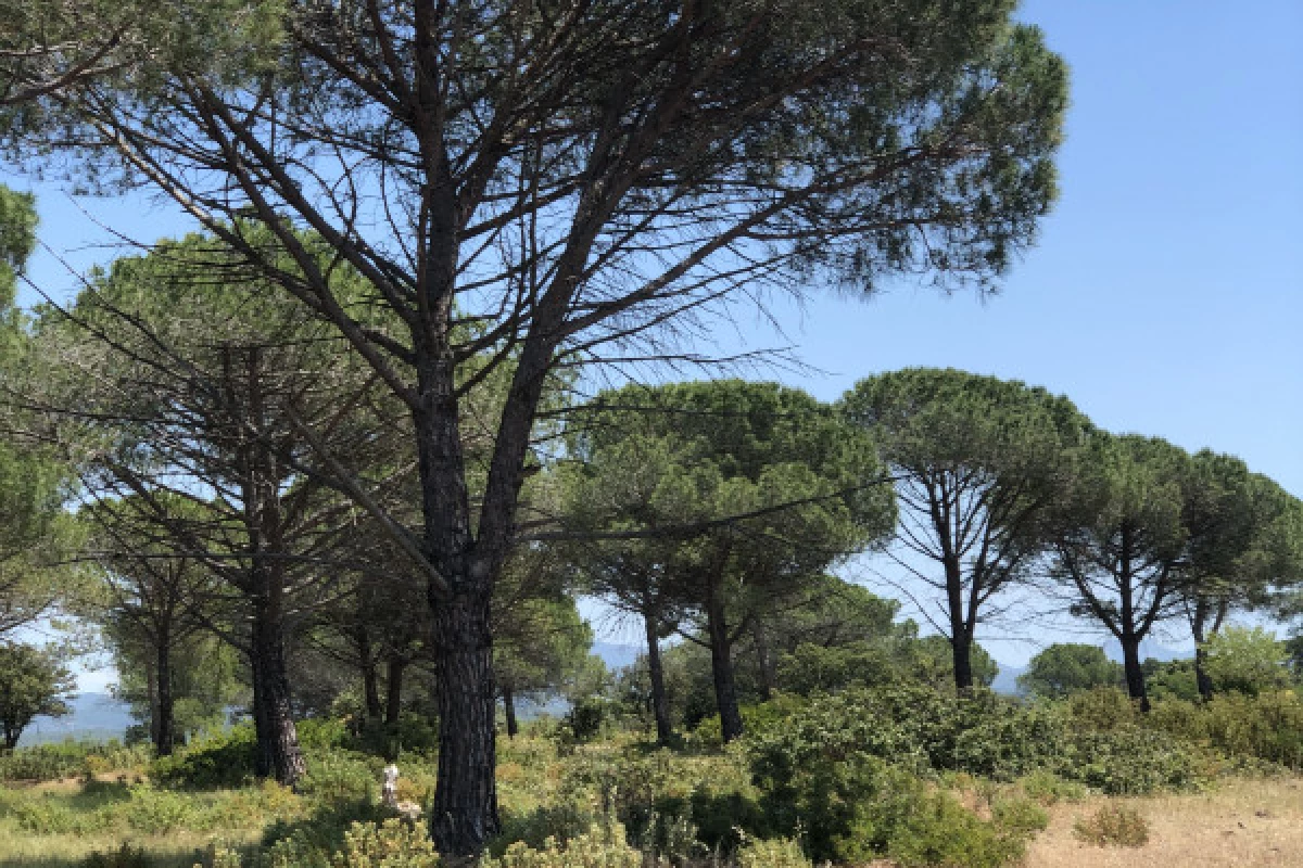 Balade en VTT électrique plateau du Rouet - Bonjour Fun