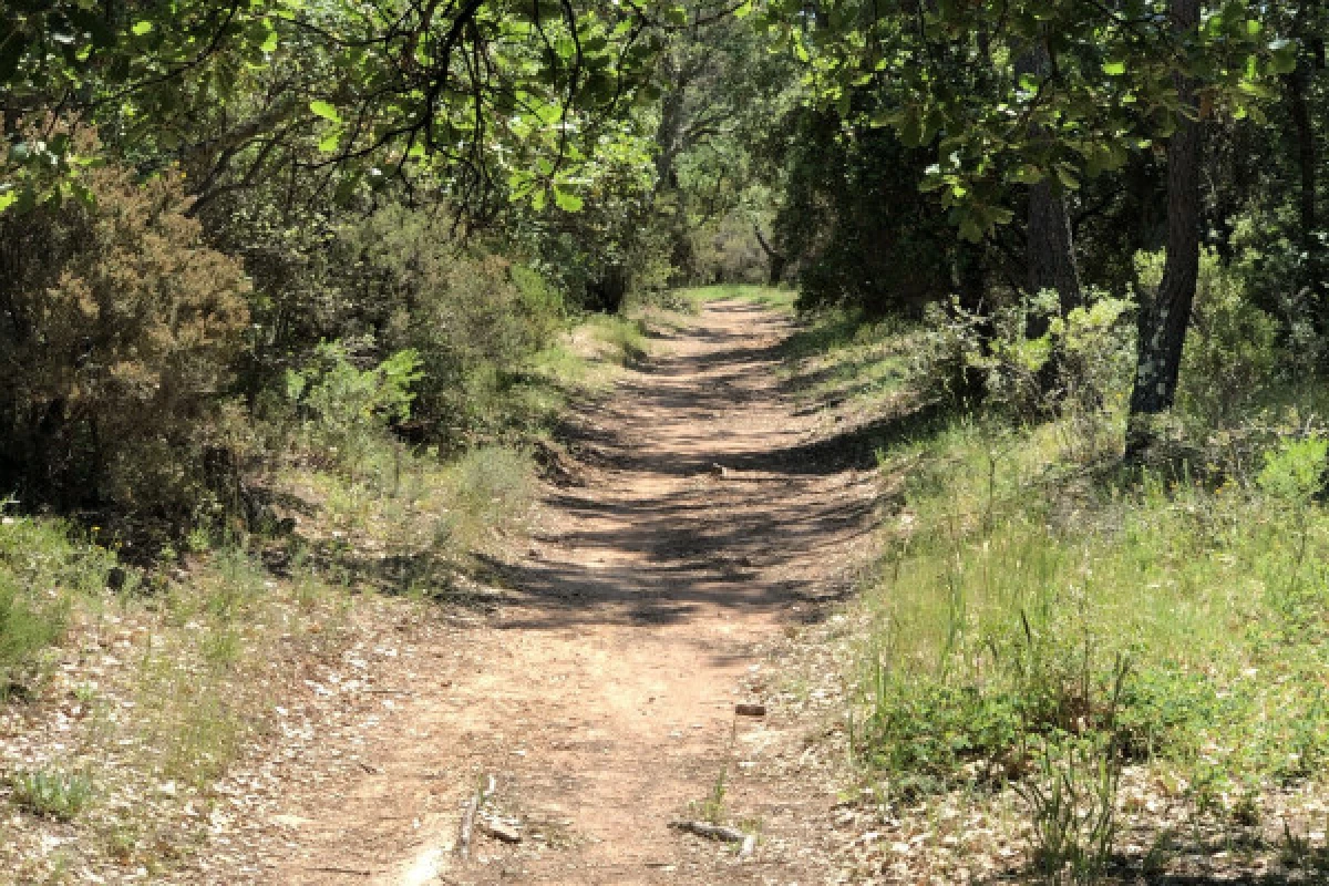 Balade en VTT électrique plateau du Rouet - Bonjour Fun