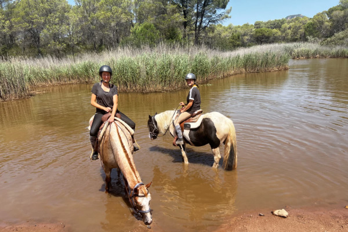 Balade et baignade à cheval dans le massif de l'Esterel - Bonjour Fun