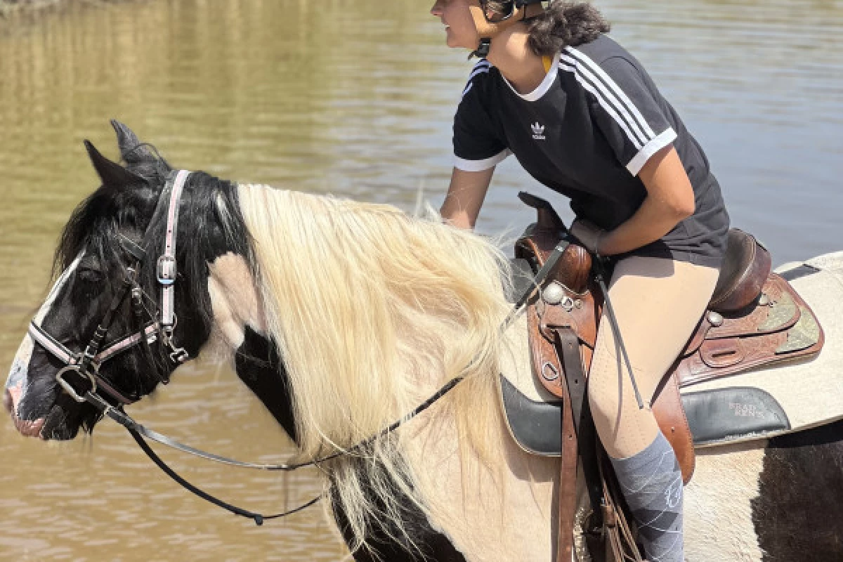 Balade et baignade à cheval dans le massif de l'Esterel - Bonjour Fun