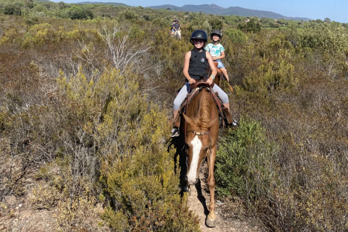 Balade et baignade à cheval dans le massif de l'Esterel - Bonjour Fun