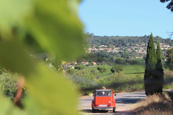 Balade insolite en 2CV, Golfe de Saint-Tropez - Bonjour Fun