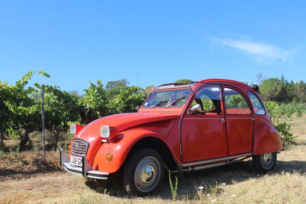 Balade insolite en 2CV, Golfe de Saint-Tropez - Bonjour Fun