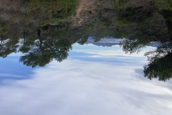 Balade naturaliste aux lacs inattendus - Bonjour Fun