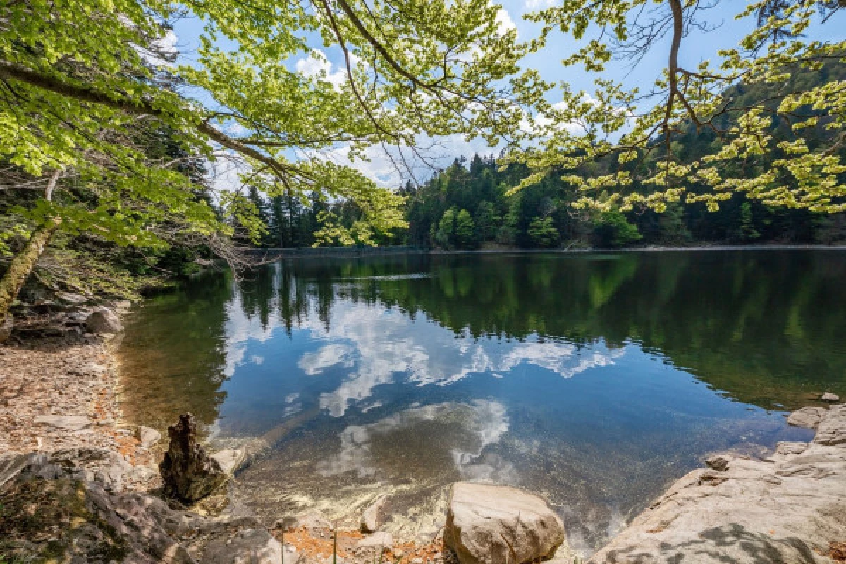 Balade sonore au son du lac d'Altenweiher - Bonjour Fun