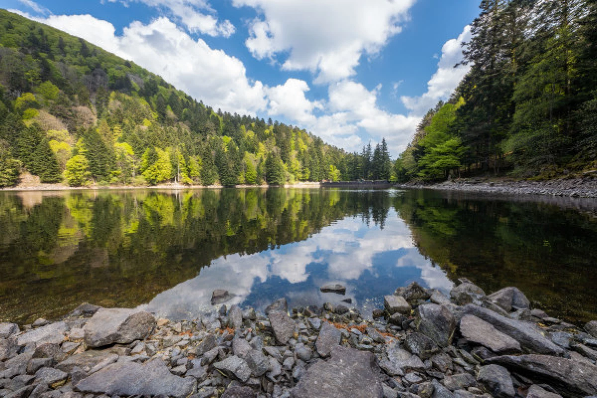 Balade sonore au son du lac d'Altenweiher - Bonjour Fun