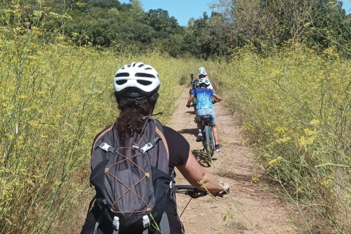 Balade vinicole en VTT éléctrique - au coeur de l'Estérel - Bonjour Fun