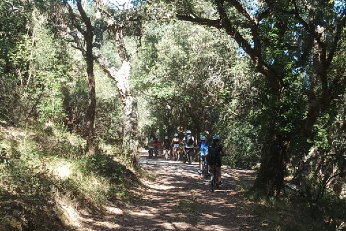 Balade vinicole en VTT éléctrique - au coeur de l'Estérel - Bonjour Fun