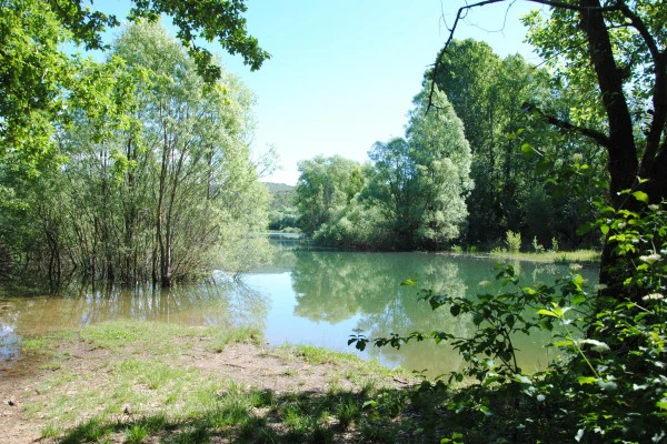 Balade naturaliste aromatique - Saint Cassien & Fondurane - Bonjour Fun