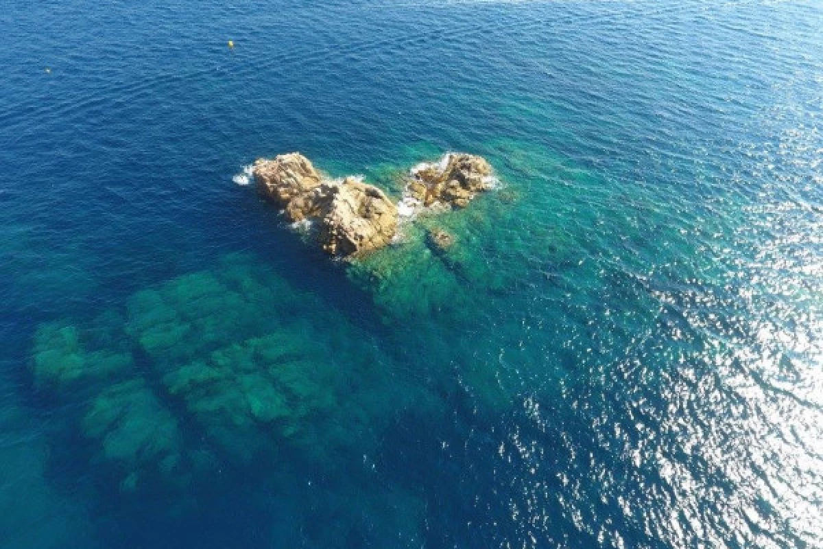 Baptême de plongée Bateau Hyères (Regiondo) - Bonjour Fun