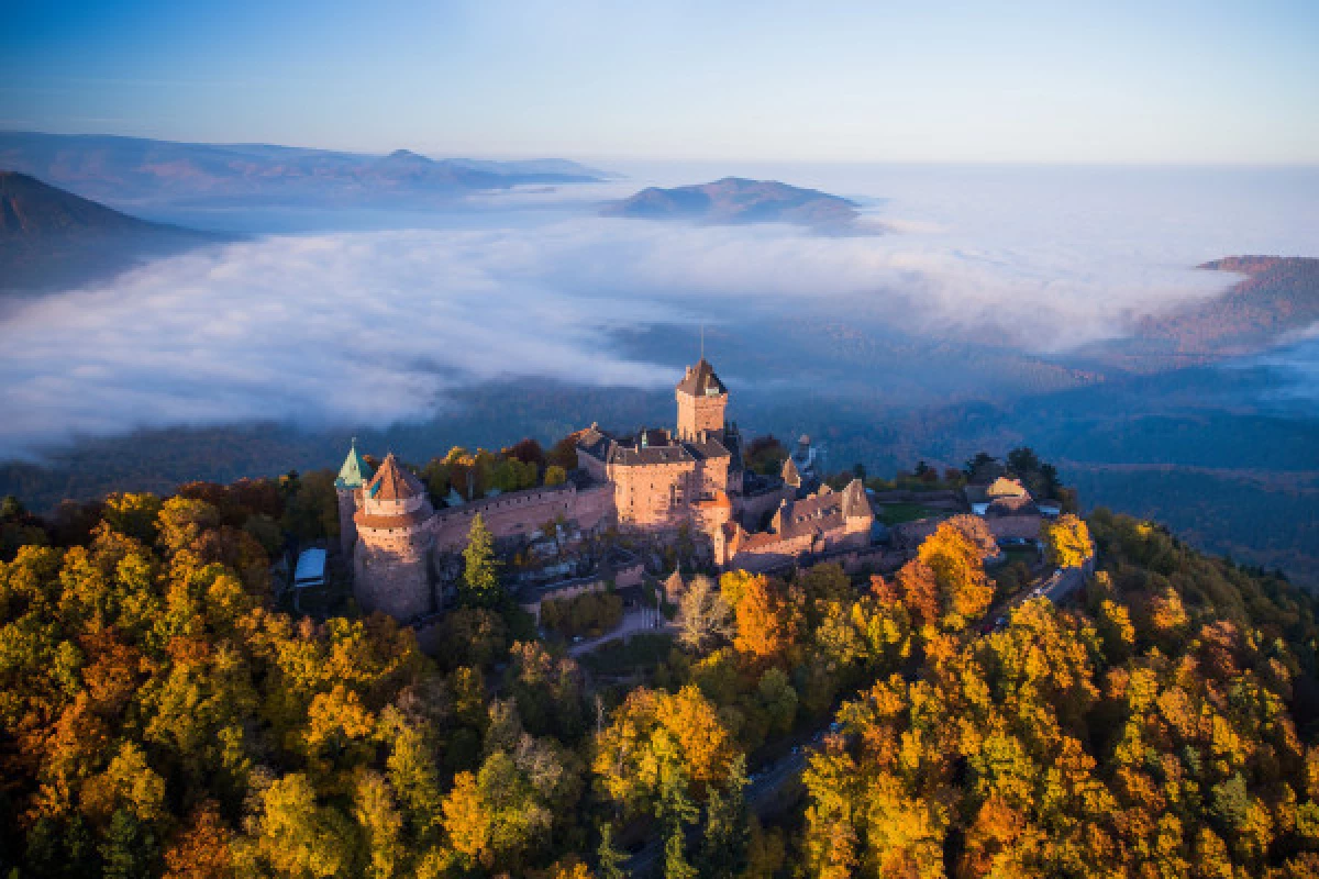 Billet d'entrée coupe-file  Château du Haut-Koenigsbourg - Bonjour Fun