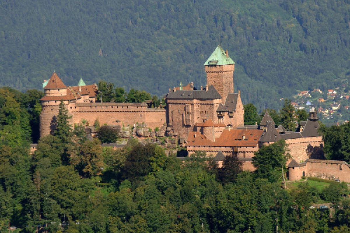 Billet d'entrée coupe-file  Château du Haut-Koenigsbourg - Bonjour Fun