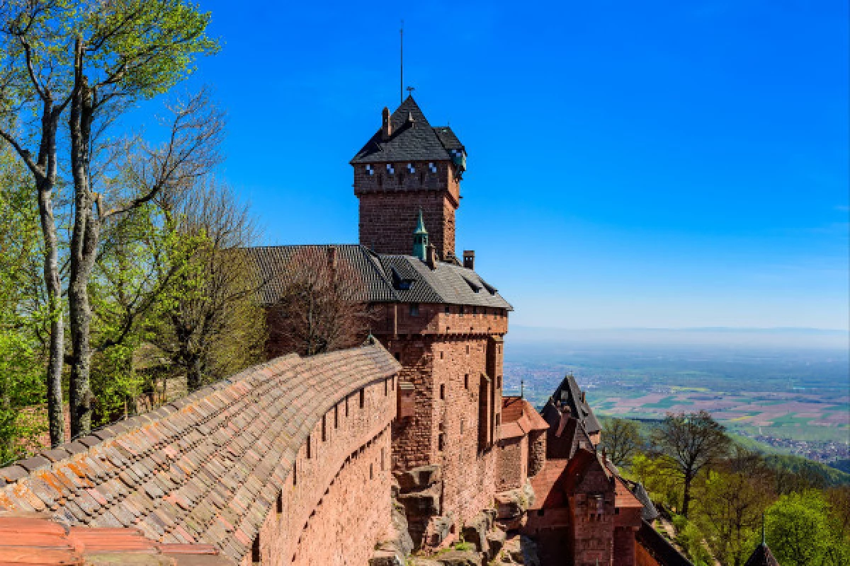 Billet d'entrée coupe-file  Château du Haut-Koenigsbourg - Bonjour Fun