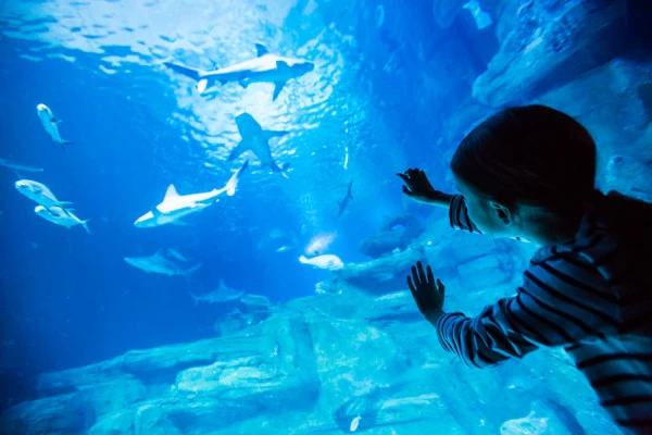 AQUARIUM DE PARIS - BILLET D'ENTREE - Bonjour Fun