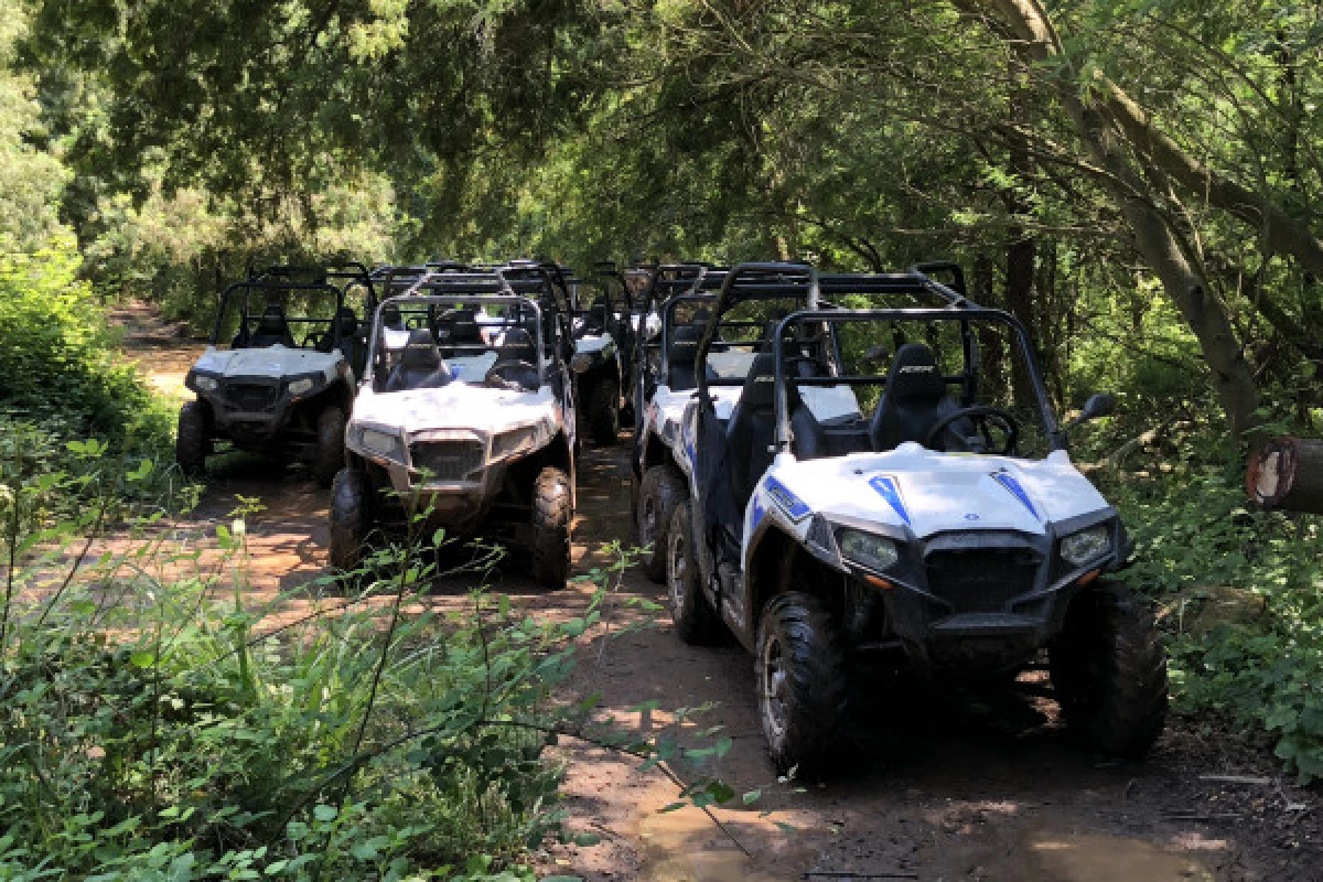 Buggy Tour - Bonjour Fun