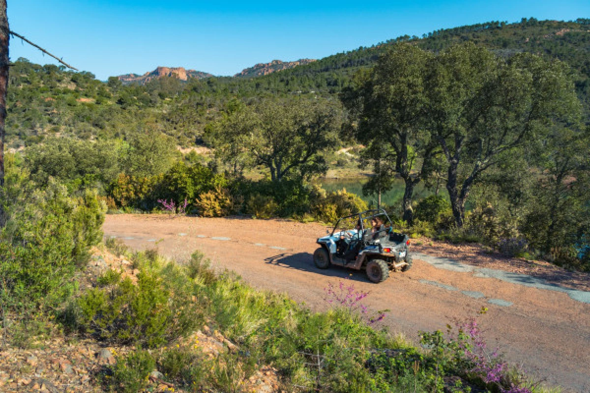 Buggy Tour - Bonjour Fun