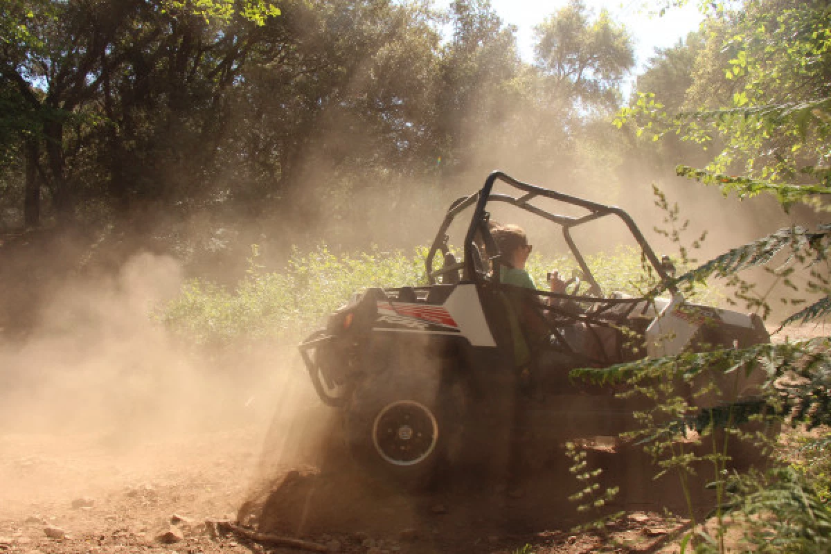 Buggy Tour - Bonjour Fun