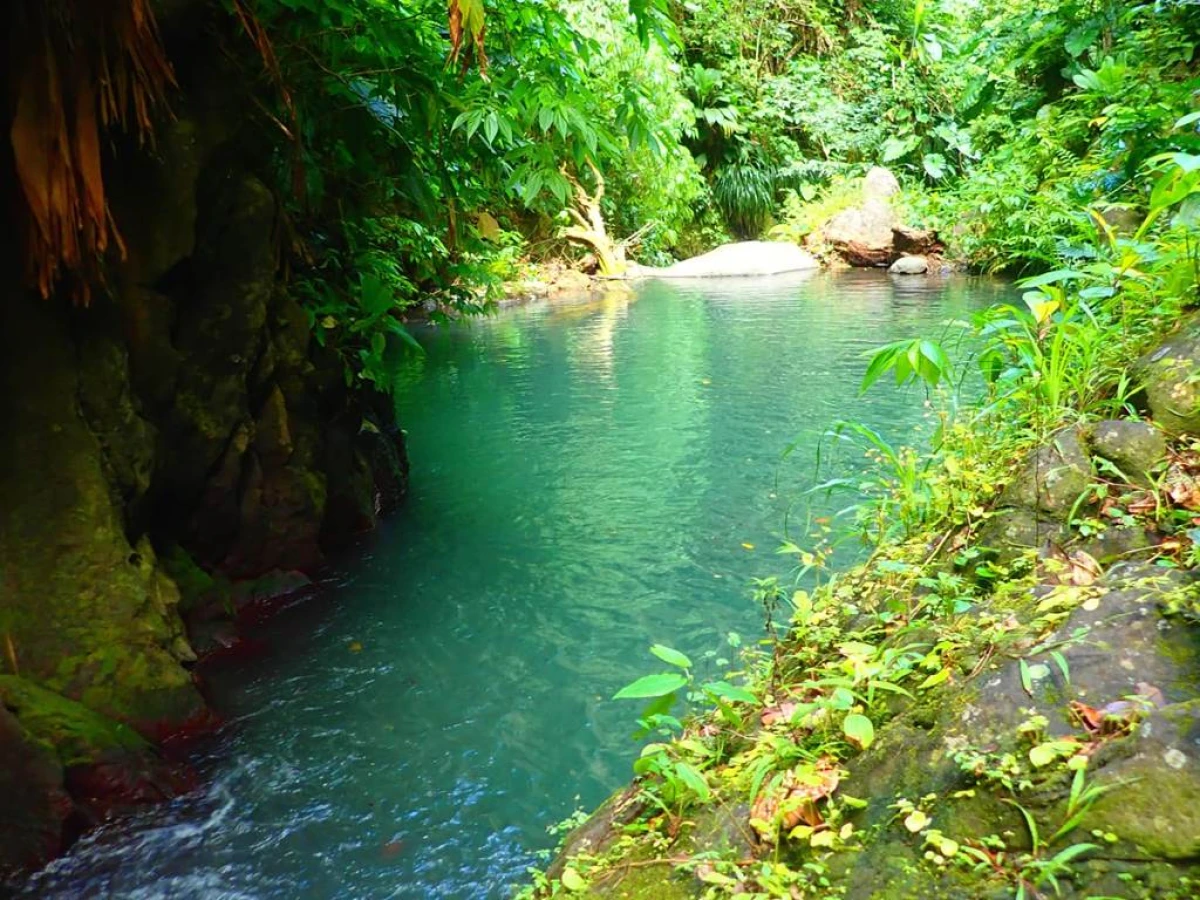 Canyoning en nature NIV1 - Bonjour Fun