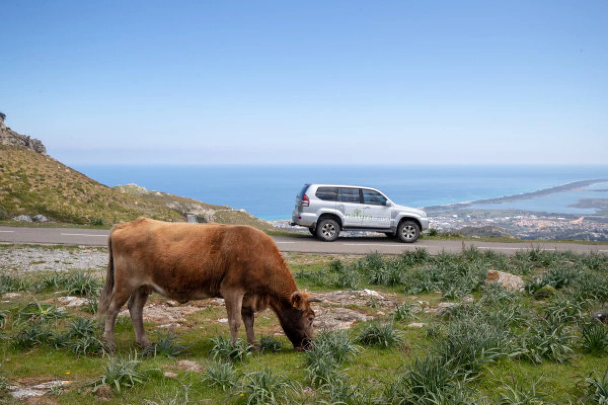 Cap Corse et Saleccia - Entre mer et montagne - Bonjour Fun