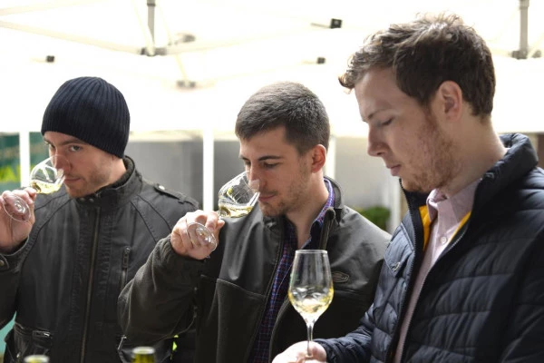 Dégustation Chablis au Domaine Clotilde Davenne en Anglais - Bonjour Fun