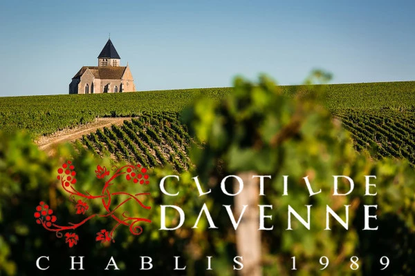 Dégustation Chablis au Domaine Clotilde Davenne en Anglais - Bonjour Fun