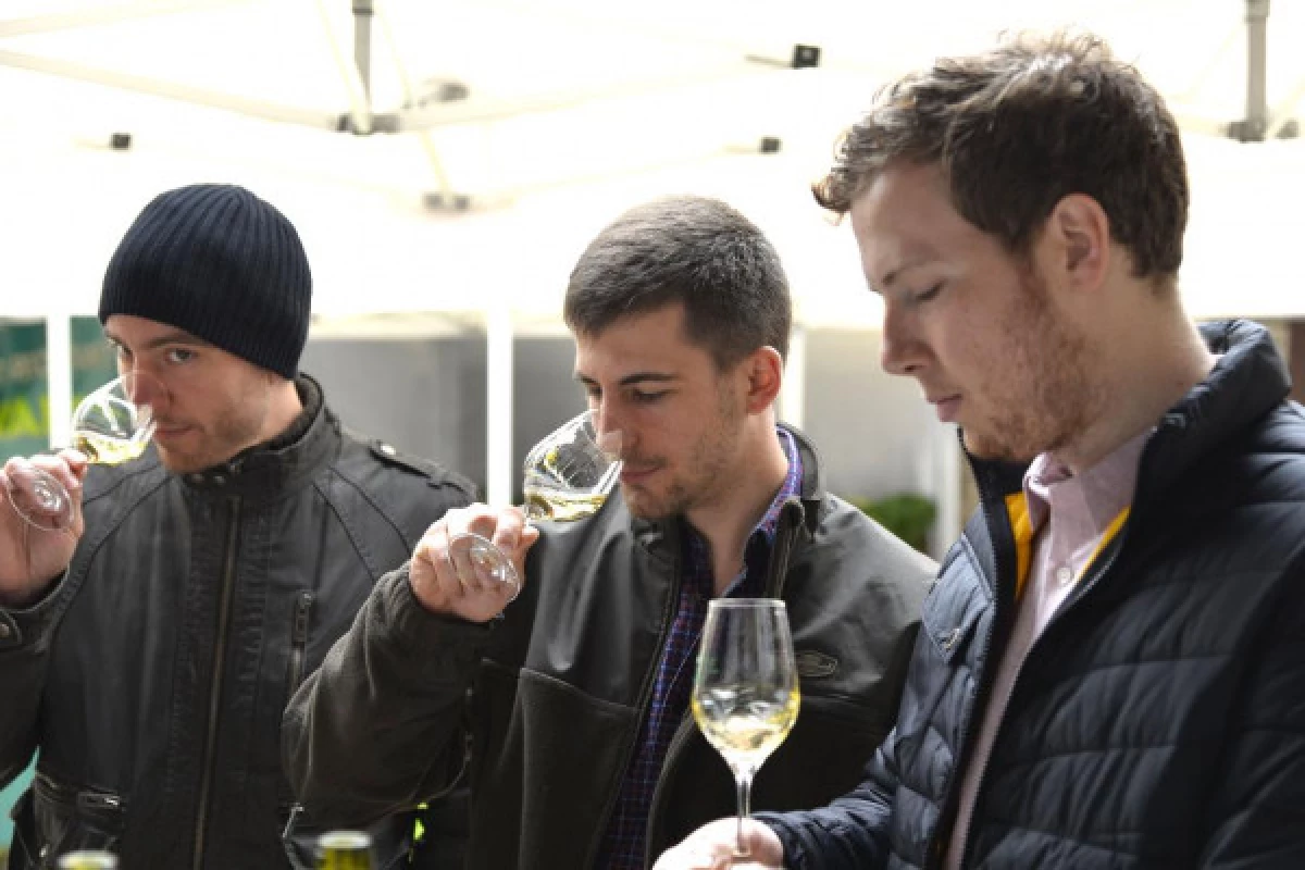 Dégustation Chablis au Domaine Clotilde Davenne en Français - Bonjour Fun