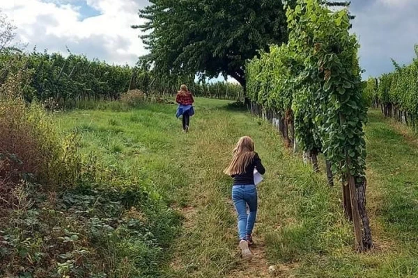 Chasse au Trésor dans le vignoble du Marckrain - Bonjour Fun