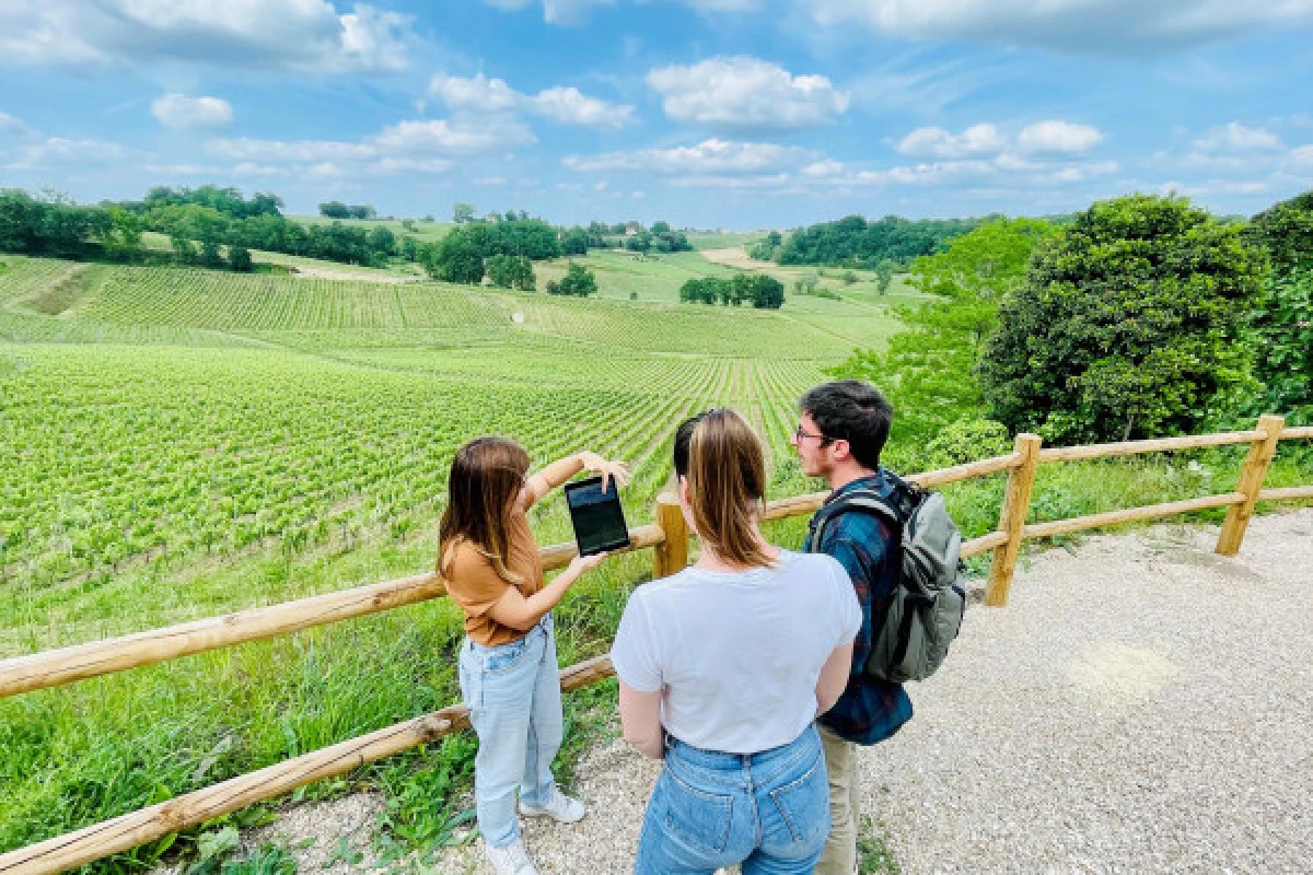 Chateau La Croizille St-Emilion Grand Cru Classé : Nature & Terroir Visit in English - Bonjour Fun