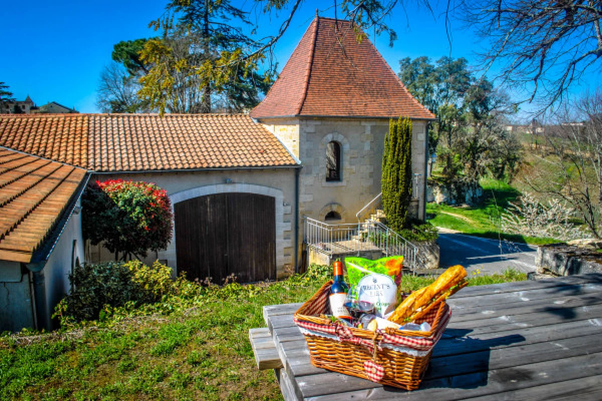 Château La Croizille St-Emilion Grand Cru Classé : Pique Nique & Visite en Français - Bonjour Fun