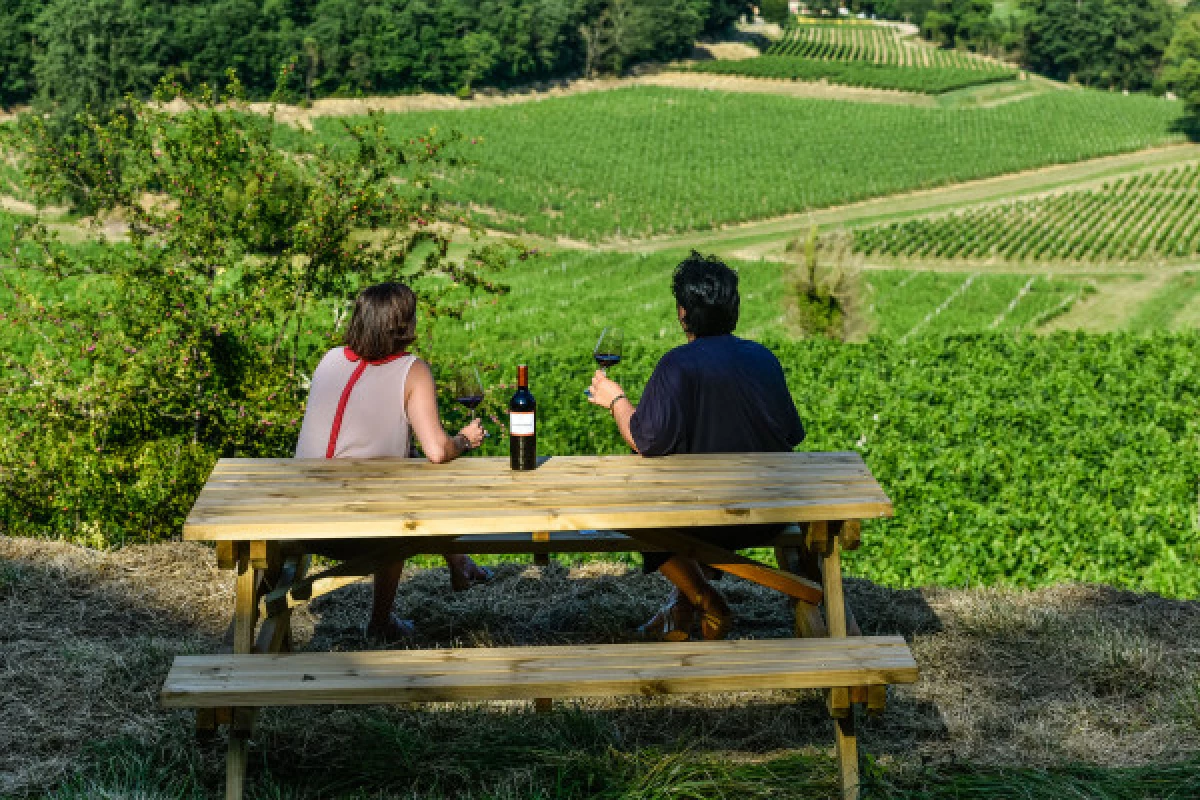 Château La Croizille St-Emilion Grand Cru Classé : Pique Nique & Visite en Français - Bonjour Fun