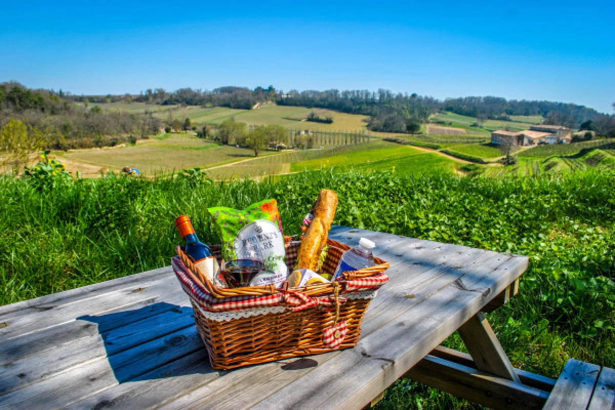 Château La Croizille St-Emilion Grand Cru Classé : Pique Nique & Visite en Français - Bonjour Fun