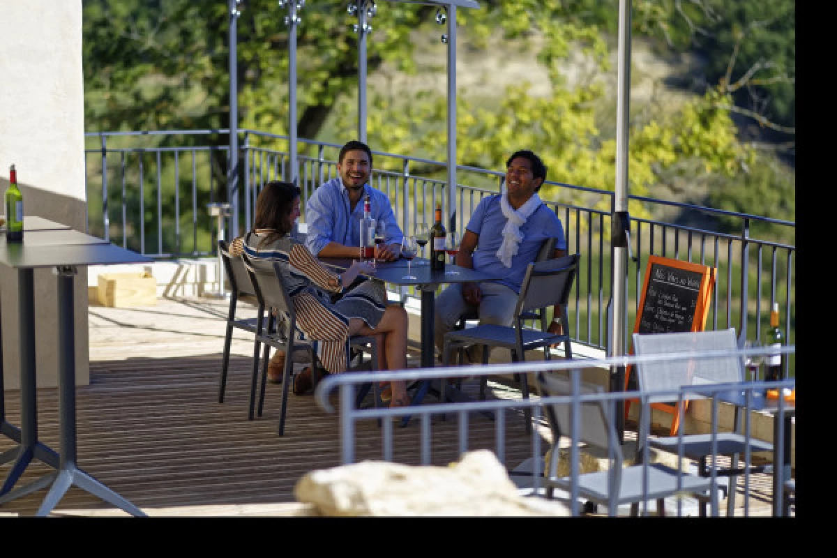 Château La Croizille St-Emilion Grand Cru Classé : Pique Nique & Visite en Français - Bonjour Fun