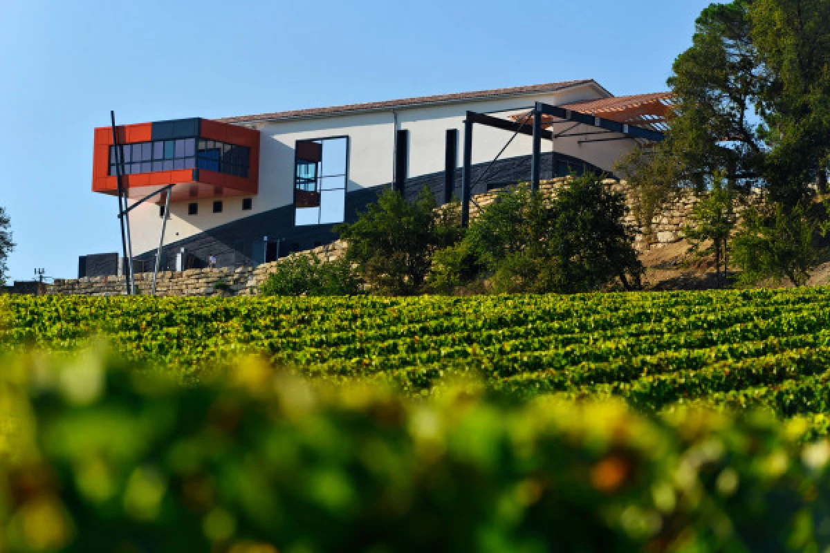 Château La Croizille St-Emilion Grand Cru Classé : Visite & Dégustation en Français - Bonjour Fun