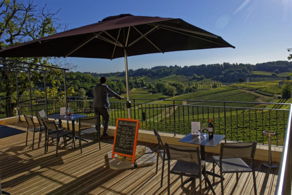 Château La Croizille St-Emilion Grand Cru Classé : Visite & Dégustation en Français - Bonjour Fun