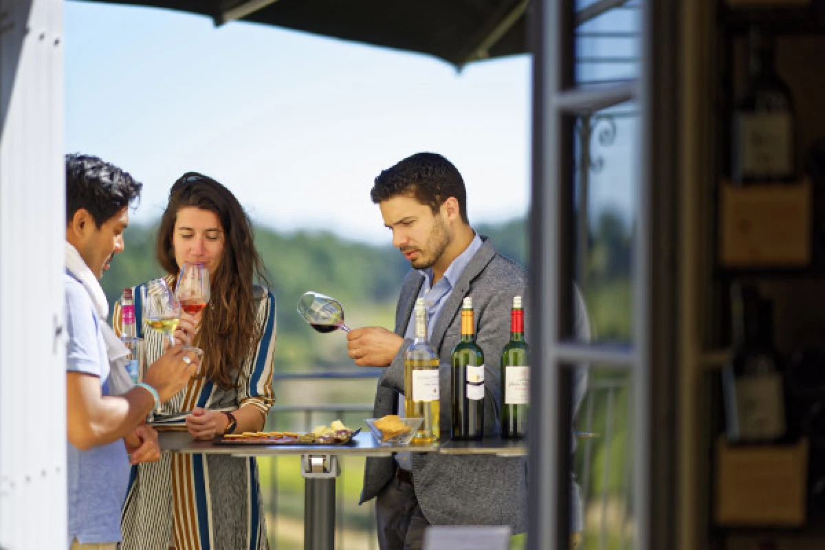 Château La Croizille St-Emilion Grand Cru Classé : Visite & Dégustation Gourmande - Bonjour Fun