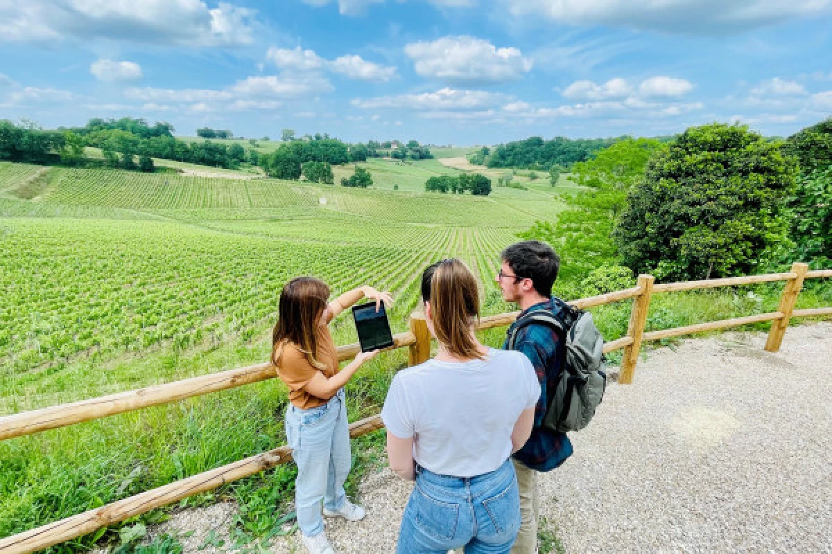 Château La Croizille St-Emilion Grand Cru Classé : Visite Nature & Terroir en Français - Bonjour Fun