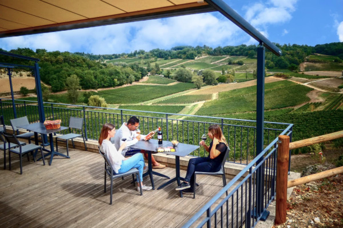 Chateau Tour Baladoz : Dégustation Rive Droite vs Gauche en Français - 6 vins - Bonjour Fun