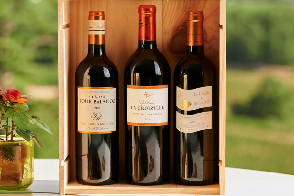 Chateau Tour Baladoz : Dégustation Saint-Emilion Grand Cru - 3 vins - Bonjour Fun