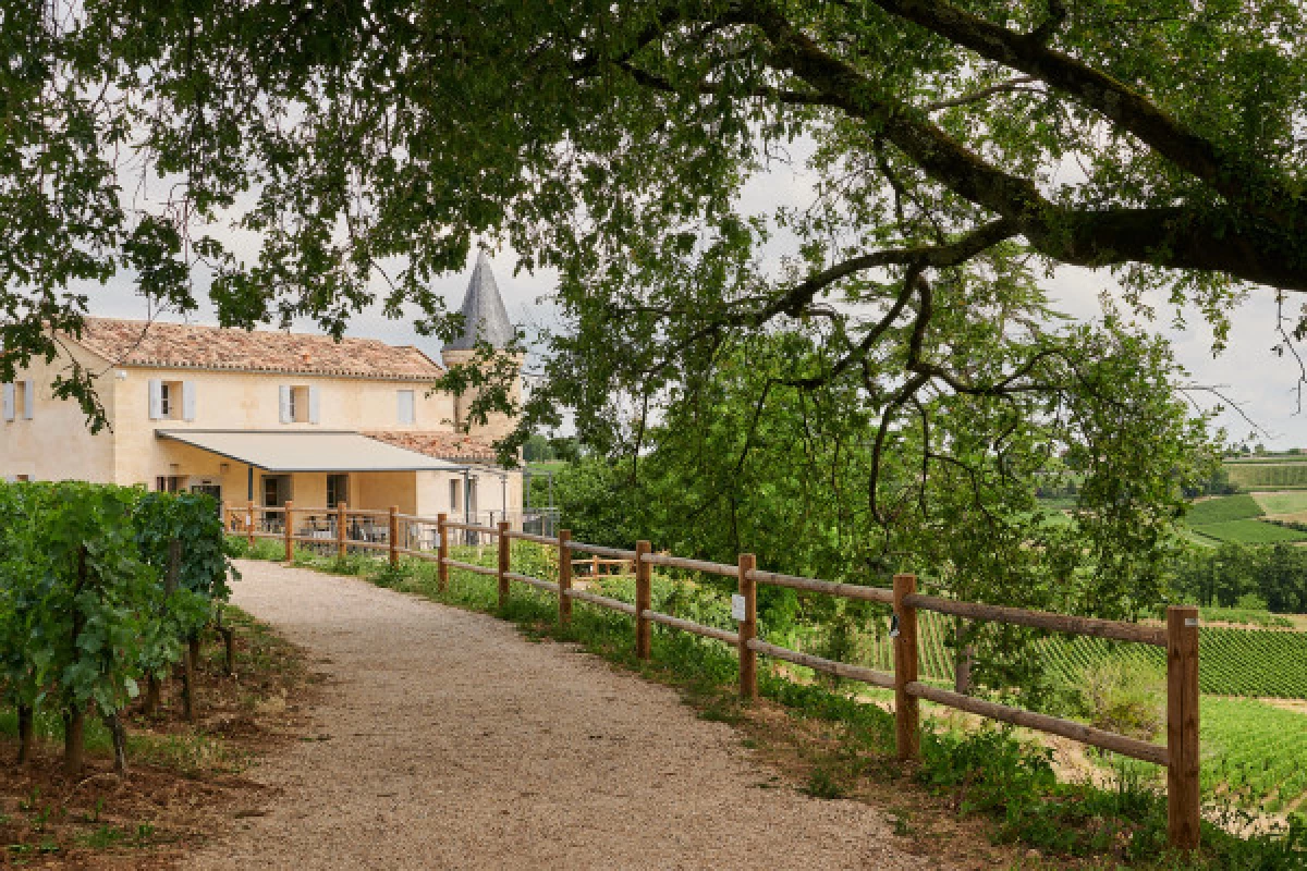 Chateau Tour Baladoz : Dégustation Saint-Emilion Grand Cru - 3 vins - Bonjour Fun